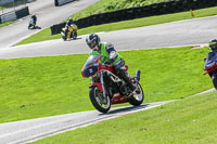 brands-hatch-photographs;brands-no-limits-trackday;cadwell-trackday-photographs;enduro-digital-images;event-digital-images;eventdigitalimages;no-limits-trackdays;peter-wileman-photography;racing-digital-images;trackday-digital-images;trackday-photos